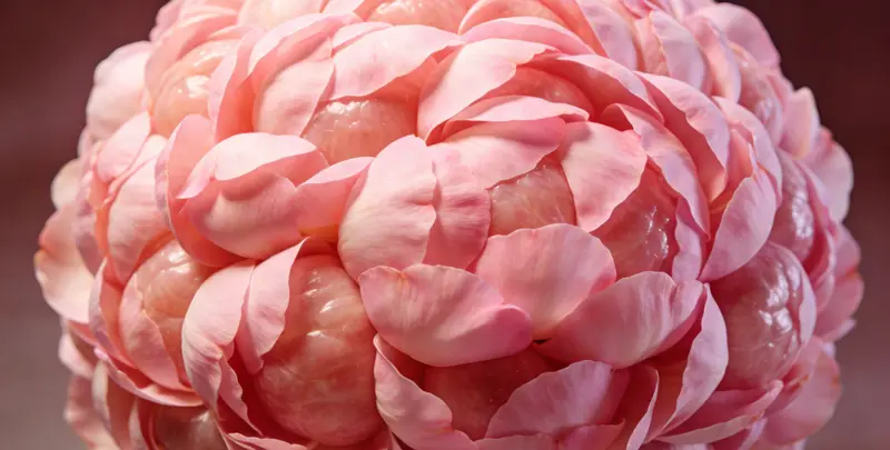 平顶山BRCA1/2乳腺癌卵巢癌基因检测图片1